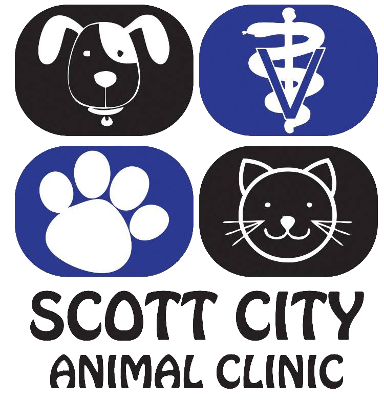 Scott City Animal Clinic